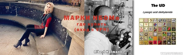 спайс Аркадак