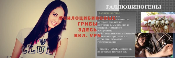 спайс Аркадак