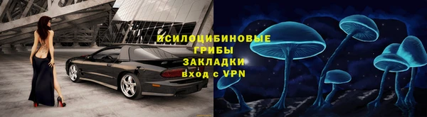спайс Аркадак