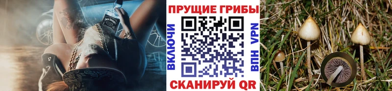Псилоцибиновые грибы Magic Shrooms Протвино